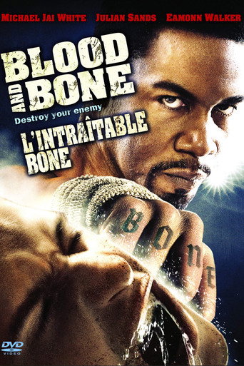 Regarder Blood and Bone en streaming complet